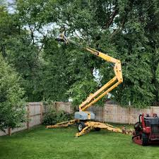 Best Lawn Mowing  in Dilkon, AZ