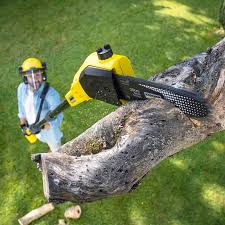 Lawn Edging in Dilkon, AZ